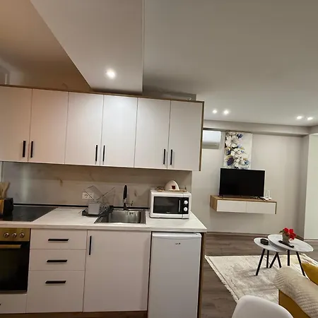 Modern Apartment With Kitchen 公寓