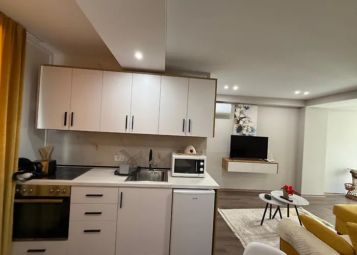 Modern Apartment With Kitchen 公寓